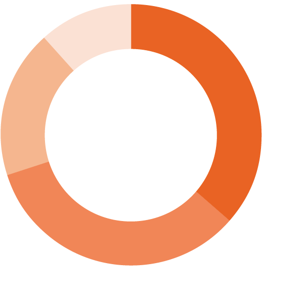 Solo_Donut.png